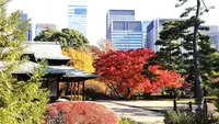 皇居乾通りの写真・動画_image_238515