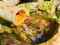 吉水園の写真・動画_image_238536