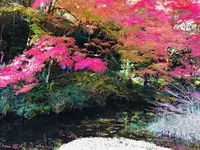 吉水園の写真・動画_image_238539