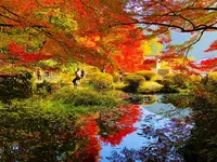 吉水園の写真・動画_image_238540