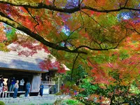 吉水園の写真・動画_image_238541