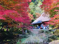 吉水園の写真・動画_image_238542