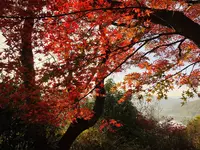 尾関山公園の写真・動画_image_238543
