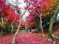 尾関山公園の写真・動画_image_238544