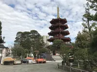 大師公園の写真・動画_image_238648