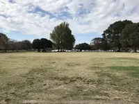 大師公園の写真・動画_image_238656