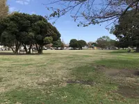 大師公園の写真・動画_image_238657