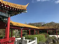 大師公園の写真・動画_image_238673