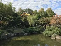 大師公園の写真・動画_image_238674