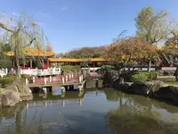 大師公園の写真・動画_image_238679