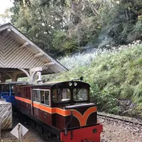 修善寺 虹の郷の写真・動画_image_238842