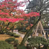 兼六園の写真・動画_image_238866