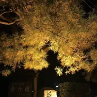 金沢城・兼六園の写真・動画_image_238886