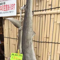 伊勢ひもの塾の写真・動画_image_238963
