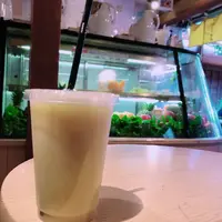 フルーツラボの写真・動画_image_238967
