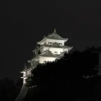 名古屋城の写真・動画_image_238981