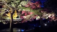 御岳渓谷の写真・動画_image_239005