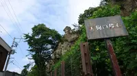 大谷平和観音の写真・動画_image_239063