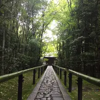 高桐院の写真・動画_image_239314