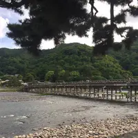 渡月橋の写真・動画_image_239337