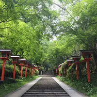 鞍馬寺の写真・動画_image_239358