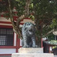 鞍馬山の写真・動画_image_239361