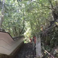 鞍馬山の写真・動画_image_239362