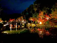 神勝禅寺 紅葉ライトアップ特別拝観の写真・動画_image_239585