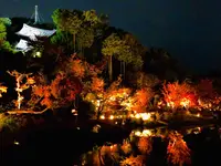 神勝禅寺 紅葉ライトアップ特別拝観の写真・動画_image_239588