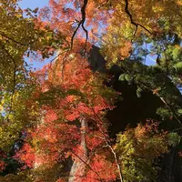 笠置寺の写真・動画_image_239650