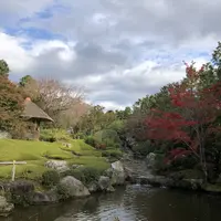 妙心寺の写真・動画_image_239662