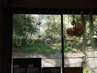 カフェ ヨリドコロの写真・動画_image_239843