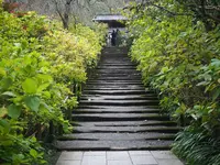 明月院（あじさい寺）の写真・動画_image_239849