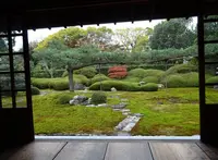 一華院の写真・動画_image_239857