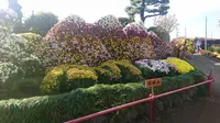 ながめ公園の写真・動画_image_239878