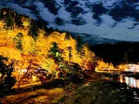 香嵐渓の写真・動画_image_240017