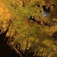 香嵐渓の写真・動画_image_240018