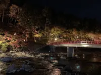 香嵐渓の写真・動画_image_240020