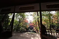 殿ヶ谷戸庭園の写真・動画_image_240025