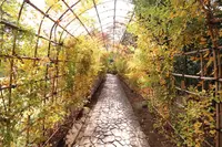 殿ヶ谷戸庭園の写真・動画_image_240026