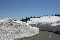 日本国道最高地点の写真・動画_image_240266