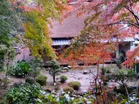 胡宮神社の写真・動画_image_240417