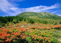 湯ノ丸高原の写真・動画_image_240422