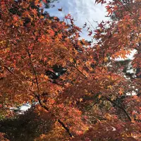 兼六園の写真・動画_image_240450