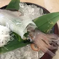 海陽亭の写真・動画_image_240476