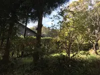 川崎市立日本民家園の写真・動画_image_240524