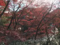 川崎市立日本民家園の写真・動画_image_240527