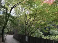 川崎市立日本民家園の写真・動画_image_240562