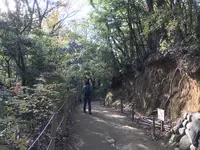 川崎市立日本民家園の写真・動画_image_240570