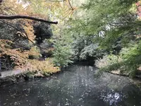 川崎市立日本民家園の写真・動画_image_240572
